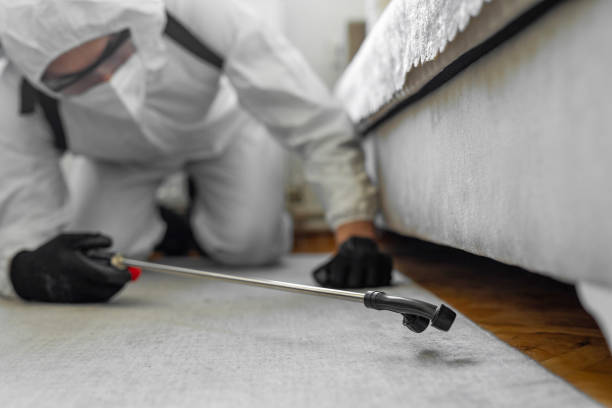 Professional Bed Bug Control technician working in L'Anse, MI
