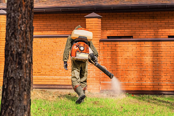 Top rated local Bed Bug Control specialists in L'Anse, MI